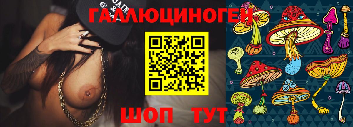 Белорецк  Галлюциногенные грибы GOLDEN TEACHER  где купить наркоту  Вход с VPN  Галлюциногенные грибы ЛСД 
